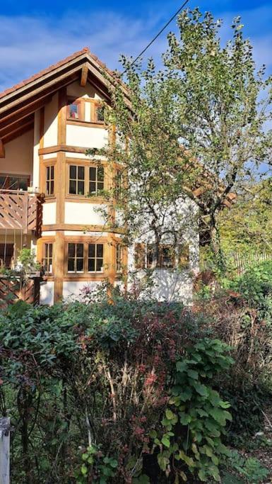 Gemuetliche Waldrandlage In Badenweiler Sehringen Ferienwohnung Exterior photo
