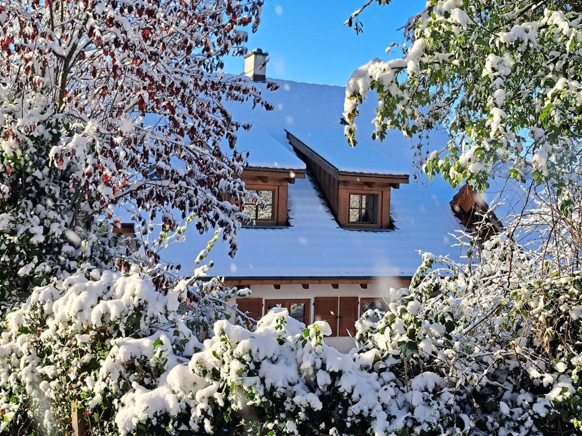 Gemuetliche Waldrandlage In Badenweiler Sehringen Ferienwohnung Exterior photo